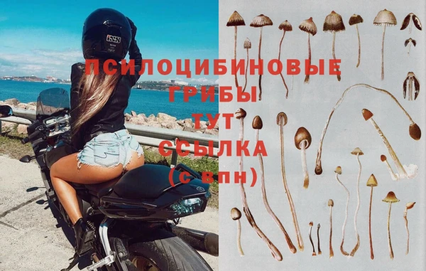 apvp Навашино