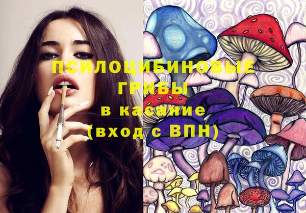 apvp Навашино