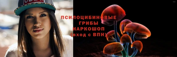 МДПВ Надым
