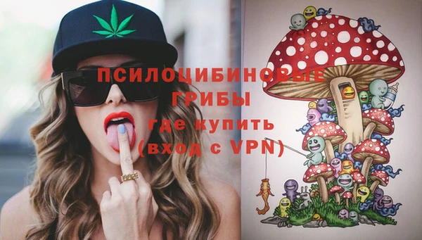 МДПВ Надым