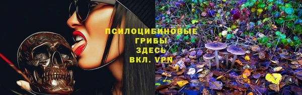 МДПВ Надым